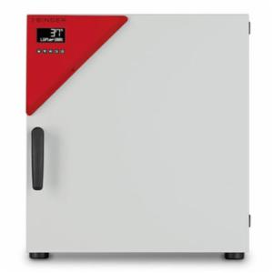 Binder Series BF Avantgarde.Line - Standard-Incubators with forced convection BF 56 9010-0313
