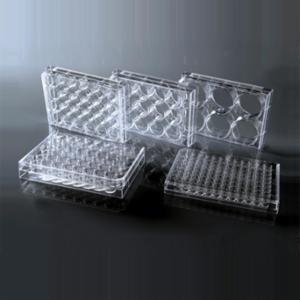 Wuxi Nest 384 Well Cell Culture Plate, Clear, Flat bottom, Non-Treated, Sterile, 1/pack, 100/cs 761011